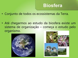 • Conjunto de todos os ecossistemas da Terra.
• Até chegarmos ao estudo da biosfera existe um
sistema de organização – começa o estudo pelo
organismo.
Biosfera
 