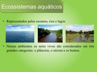 Ecossistemas aquáticos
• Representados pelos oceanos, rios e lagos.
• Nesses ambientes os seres vivos são considerados em três
grandes categorias: o plâncton, o nécton e os bentos.
 