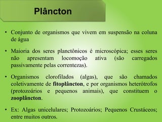 Plâncton
• Conjunto de organismos que vivem em suspensão na coluna
de água
• Maioria dos seres planctônicos é microscópica; esses seres
não apresentam locomoção ativa (são carregados
passivamente pelas correntezas).
• Organismos clorofilados (algas), que são chamados
coletivamente de fitoplâncton, e por organismos heterótrofos
(protozoários e pequenos animais), que constituem o
zooplâncton.
• Ex: Algas unicelulares; Protozoários; Pequenos Crustáceos;
entre muitos outros.
 