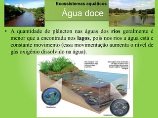 Água doce
• A quantidade de plâncton nas águas dos rios geralmente é
menor que a encontrada nos lagos, pois nos rios a água está e
constante movimento (essa movimentação aumenta o nível de
gás oxigênio dissolvido na água).
Ecossistemas aquáticos
 