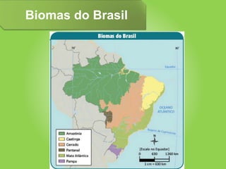 Biomas do Brasil
 