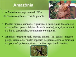 Amazônia
• AAmazônia abriga cerca de 20%
de todas as espécies vivas do planeta.
• Plantas nativas: cupuaçu, o guaraná, a seringueira (de onde se
extrai o látex para a fabricação de borracha), o açaí, o tucumã
e o inajá, castanheira, a sumaúma e o angelim.
• Animais: preguiça-real, macaco-aranha (ou cuatá), macaco-
prego, jacaré-açu, muitas espécies de peixes como o pirarucu
e o poraquê (peixe-elétrico), e muitas espécies de insetos
 