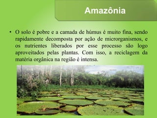 • O solo é pobre e a camada de húmus é muito fina, sendo
rapidamente decomposta por ação de microrganismos, e
os nutrientes liberados por esse processo são logo
aproveitados pelas plantas. Com isso, a reciclagem da
matéria orgânica na região é intensa.
Amazônia
 