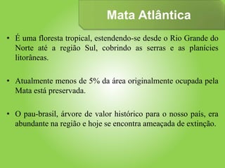 Mata Atlântica
• É uma floresta tropical, estendendo-se desde o Rio Grande do
Norte até a região Sul, cobrindo as serras e as planícies
litorâneas.
• Atualmente menos de 5% da área originalmente ocupada pela
Mata está preservada.
• O pau-brasil, árvore de valor histórico para o nosso país, era
abundante na região e hoje se encontra ameaçada de extinção.
 