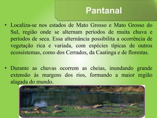 Pantanal
• Localiza-se nos estados de Mato Grosso e Mato Grosso do
Sul, região onde se alternam períodos de muita chuva e
períodos de seca. Essa alternância possibilita a ocorrência de
vegetação rica e variada, com espécies típicas de outros
ecossistemas, como dos Cerrados, da Caatinga e de florestas.
• Durante as chuvas ocorrem as cheias, inundando grande
extensão às margens dos rios, formando a maior região
alagada do mundo.
 