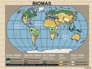 BIOMAS




24/10/12   I E Zamora   j.flórez
 