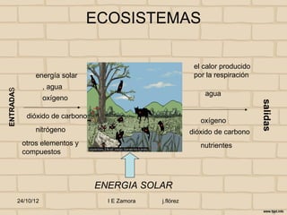 ECOSISTEMAS

                                                              el calor producido
                 energía solar                                por la respiración
                      , agua
ENTRADAS




                                                                 agua
                      oxígeno




                                                                                   salidas
              dióxido de carbono
                                                                oxígeno
                 nitrógeno                                   dióxido de carbono
            otros elementos y                                   nutrientes
            compuestos



                                   ENERGIA SOLAR
           24/10/12                  I E Zamora   j.flórez
 