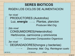 SERES BIOTICOS
     RIGEN LOS CICLOS DE ALIMENTACION
     1er nivel
       PRODUCTORES (Autotrofos)
       Luz, energía  Plantas, plancton
                                 Producen Mat.Org.
     2do nivel
       CONSUMIDORES(Heterotrofos)
       Herbívoros, carnívoros y omnivoros
                 Consumen Compuestos Organicos
     3er nivel
       DEGRADADORES(hongos y bacterias)
                   Descomp. Mat. Org, Reintegran suelo
24/10/12            I E Zamora        j.flórez
 