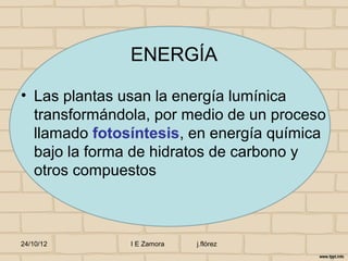 ENERGÍA

• Las plantas usan la energía lumínica
  transformándola, por medio de un proceso
  llamado fotosíntesis, en energía química
  bajo la forma de hidratos de carbono y
  otros compuestos



24/10/12       I E Zamora   j.flórez
 