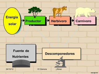 Energía
              Productor          Herbívoro    Carnívoro
  solar




       Fuente de
                            Descomponedores
      Nutrientes


24/10/12            I E Zamora     j.flórez
 