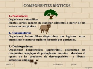 COMPONENTES BIOTICOS

   1.- Productores:
   Organismos autotróficos.
   Plantas verdes capaces de elaborar alimentos a partir de las
   sustancias inorgánicas.

   2.- Consumidores:
   Organismos heterotróficos (fagótrofos), que ingieren        otros
   organismos o materia orgánica formada por partículas.

   3.- Desintegradores:
   Organismos heterotróficos (saprótrofos), desintegran los
   compuestos complejos de protoplasma muertos, absorben al
   -gunos de los productos de descomposición      y liberan
   sustancias simples.
24/10/12                              I E Zamora    j.flórez
 