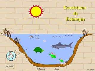 Ecosistema
                                        de
                                     Estanque


           ***
           * ////

                    *


24/10/12
            I E Zamora   j.flórez
 