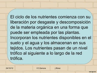 El ciclo de los nutrientes comienza con su
    liberación por desgaste y descomposición
    de la materia orgánica en una forma que
    puede ser empleada por las plantas.
    Incorporan los nutrientes disponibles en el
    suelo y el agua y los almacenan en sus
    tejidos. Los nutrientes pasan de un nivel
    trófico al siguiente a lo largo de la red
    trófica.

24/10/12         I E Zamora   j.flórez
 