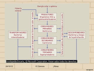 24/10/12   I E Zamora   j.flórez
 