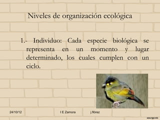 Niveles de organización ecológica


       1.- Individuo: Cada especie biológica se
          representa en un momento y lugar
          determinado, los cuales cumplen con un
          ciclo.




24/10/12             I E Zamora   j.flórez
 