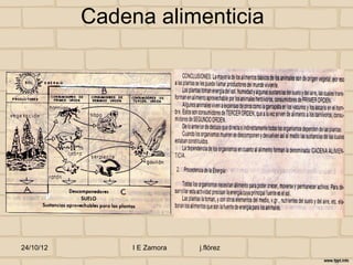 Cadena alimenticia




24/10/12        I E Zamora   j.flórez
 