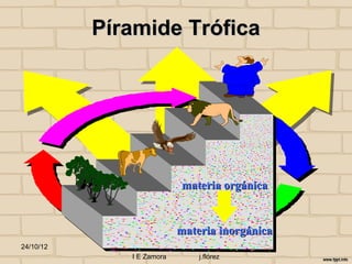Píramide Trófica




                           materia orgánica


                           materia inorgánica
24/10/12
              I E Zamora       j.flórez
 
