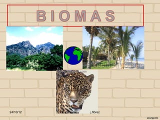 24/10/12   I E Zamora   j.flórez
 