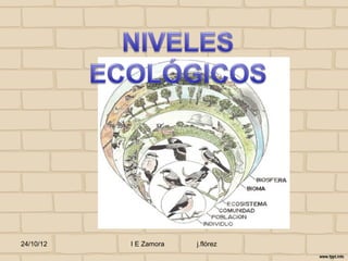 24/10/12   I E Zamora   j.flórez
 