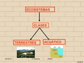 ECOSISTEMAS



                    CLASES




           TERRESTRES          ACUÁTICO



24/10/12          I E Zamora    j.flórez
 