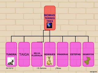 BIOMAS
                               TERRES
                                TRES




                     SELVA
TUNDRA     TAIGA   PLUSVALIA
                               BOSQUES PRADERAS    ESTEPAS   DESIERTOS




24/10/12               I E Zamora       j.flórez
 