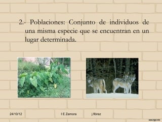 2.- Poblaciones: Conjunto de individuos de
        una misma especie que se encuentran en un
        lugar determinada.




24/10/12           I E Zamora   j.flórez
 