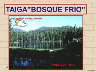 PROMEDIA ANUAL 450mm




                                   Tº MEDIA 18 a -10º C
24/10/12              I E Zamora     j.flórez
 