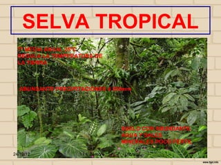 SELVA TROPICAL
  Tº MEDIA ANUAL 25ºC
  REGULA LA TEMPERATURA DE
  LA TIERRA



  ABUNDANTE PRECIPITACIONES 4 500mm




                                 SUELO CON ABUNDANTE
                                 AGUA Y SALES
                                 MINERALES POCO FERTIL

24/10/12            I E Zamora    j.flórez
 