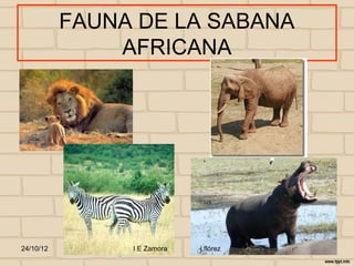 FAUNA DE LA SABANA
               AFRICANA




24/10/12        I E Zamora   j.flórez
 