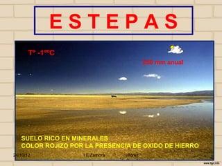 ESTEPAS
       Tº -1ººC
                                           250 mm anual




   SUELO RICO EN MINERALES
   COLOR ROJIZO POR LA PRESENCIA DE OXIDO DE HIERRO
24/10/12           I E Zamora   j.flórez
 
