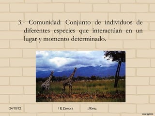 3.- Comunidad: Conjunto de individuos de
        diferentes especies que interactúan en un
        lugar y momento determinado.




24/10/12           I E Zamora   j.flórez
 