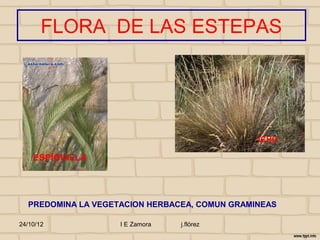 FLORA DE LAS ESTEPAS




                                               ICHU

    ESPIGUILLA




  PREDOMINA LA VEGETACION HERBACEA, COMUN GRAMINEAS

24/10/12            I E Zamora   j.flórez
 