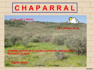 CHAPARRAL
     Tº 15 a 30º C ANUAL


                                              50 A 200 mm anual




  NOMBRE DERIVA DE PLANTAS CHAPARRO , ABUNDANTE
  MATAS DE ECIMAS


      Suelo seco
24/10/12                   I E Zamora   j.flórez
 