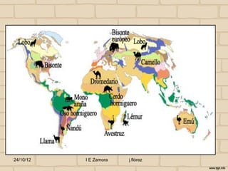 24/10/12   I E Zamora   j.flórez
 