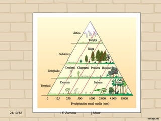 24/10/12   I E Zamora   j.flórez
 
