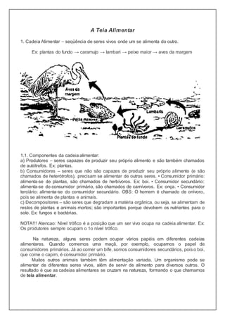 A Teia Alimentar
1. Cadeia Alimentar – seqüência de seres vivos onde um se alimenta do outro.
Ex: plantas do fundo → caramujo → lambari → peixe maior → aves da margem
1.1. Componentes da cadeia alimentar:
a) Produtores – seres capazes de produzir seu próprio alimento e são também chamados
de autótrofos. Ex: plantas.
b) Consumidores – seres que não são capazes de produzir seu próprio alimento (e são
chamados de heterótrofos), precisam se alimentar de outros seres. • Consumidor primário:
alimenta-se de plantas, são chamados de herbívoros. Ex: boi. • Consumidor secundário:
alimenta-se do consumidor primário, são chamados de carnívoros. Ex: onça. • Consumidor
terciário: alimenta-se do consumidor secundário. OBS: O homem é chamado de onívoro,
pois se alimenta de plantas e animais.
c) Decompositores – são seres que degradam a matéria orgânica, ou seja, se alimentam de
restos de plantas e animais mortos; são importantes porque devolvem os nutrientes para o
solo. Ex: fungos e bactérias.
NOTA!!! Atencao: Nível trófico é a posição que um ser vivo ocupa na cadeia alimentar. Ex:
Os produtores sempre ocupam o 1o nível trófico.
Na natureza, alguns seres podem ocupar vários papéis em diferentes cadeias
alimentares. Quando comemos uma maçã, por exemplo, ocupamos o papel de
consumidores primários. Já ao comer um bife, somos consumidores secundários, pois o boi,
que come o capim, é consumidor primário.
Muitos outros animais também têm alimentação variada. Um organismo pode se
alimentar de diferentes seres vivos, além de servir de alimento para diversos outros. O
resultado é que as cadeias alimentares se cruzam na natureza, formando o que chamamos
de teia alimentar.
 