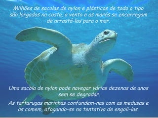 As tartarugas marinhas confundem-nas com as medusas e  as comem, afogando-se na tentativa de engoli-las.  Milhões de sacolas de nylon e plásticos de todo o tipo  são largados na costa, o vento e as marés se encarregam  de arrastá-los para o mar.  Uma sacola de nylon pode navegar várias dezenas de anos  sem se degradar. 