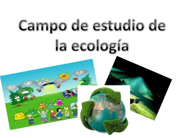 Ecologia