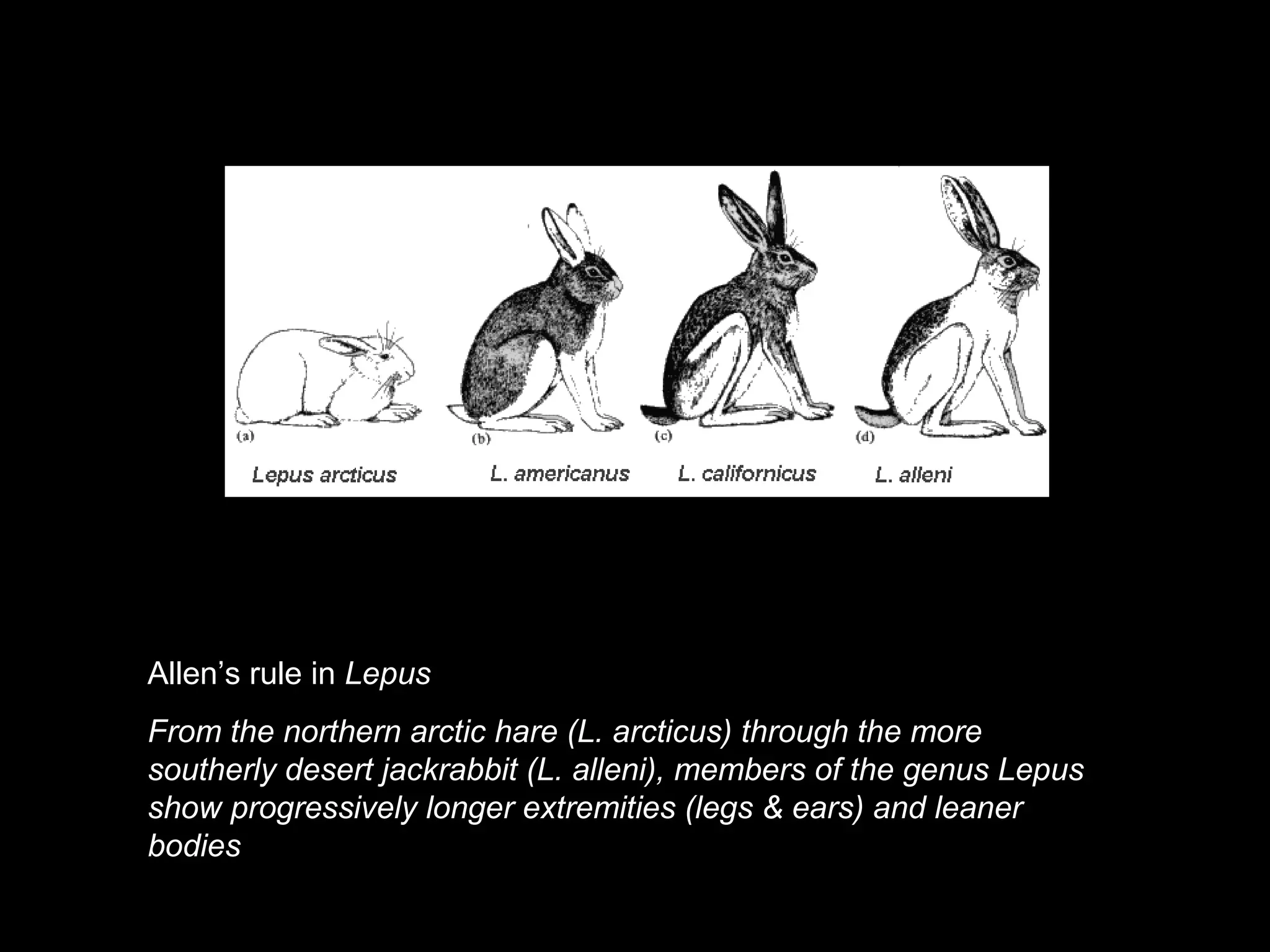 Ecologia adaptacions | PPT