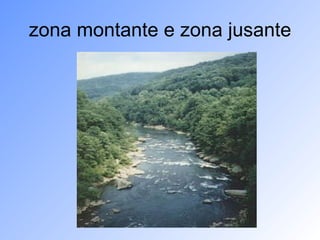 zona montante e zona jusante 