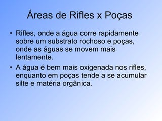 Áreas de Rifles x Poças  Rifles, onde a água corre rapidamente sobre um substrato rochoso e poças, onde as águas se movem mais lentamente. A água é bem mais oxigenada nos rifles, enquanto em poças tende a se acumular silte e matéria orgânica. 