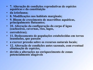 7. Alteração de condições reprodutivas de espécies aquáticas e da constituição da ictiofauna; 8. Modificações nos habitats marginais; 9. Bloom de crescimento de macrófitas aquáticas, principalmente flutuantes; 10. Alteração da configuração do corpo d’água (cachoeiras, cavernas, rios, lagos, corredeiras); 11. Deslocamento de populações estabelecidas em terras inundadas, que passam a exercer pressão sobre os recursos naturais locais; 12. Alteração de condições antes sazonais, com eventual eliminação de espécies, devido a alterações no enriquecimento de zonas potencialmente alagáveis 