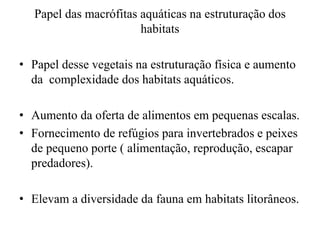 Papel das macrófitas aquáticas na estruturação dos
habitats
• Papel desse vegetais na estruturação física e aumento
da complexidade dos habitats aquáticos.
• Aumento da oferta de alimentos em pequenas escalas.
• Fornecimento de refúgios para invertebrados e peixes
de pequeno porte ( alimentação, reprodução, escapar
predadores).
• Elevam a diversidade da fauna em habitats litorâneos.
 