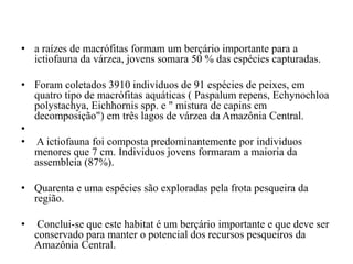 • a raízes de macrófitas formam um berçário importante para a
ictiofauna da várzea, jovens somara 50 % das espécies capturadas.
• Foram coletados 3910 indivíduos de 91 espécies de peixes, em
quatro tipo de macrófitas aquáticas ( Paspalum repens, Echynochloa
polystachya, Eichhornis spp. e " mistura de capins em
decomposição") em três lagos de várzea da Amazônia Central.
•
• A ictiofauna foi composta predominantemente por individuos
menores que 7 cm. Individuos jovens formaram a maioria da
assembleia (87%).
• Quarenta e uma espécies são exploradas pela frota pesqueira da
região.
• Conclui-se que este habitat é um berçário importante e que deve ser
conservado para manter o potencial dos recursos pesqueiros da
Amazônia Central.
 