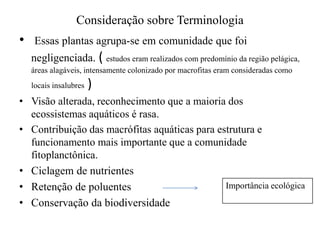 Consideração sobre Terminologia
• Essas plantas agrupa-se em comunidade que foi
negligenciada. ( estudos eram realizados com predomínio da região pelágica,
áreas alagáveis, intensamente colonizado por macrofitas eram consideradas como
locais insalubres )
• Visão alterada, reconhecimento que a maioria dos
ecossistemas aquáticos é rasa.
• Contribuição das macrófitas aquáticas para estrutura e
funcionamento mais importante que a comunidade
fitoplanctônica.
• Ciclagem de nutrientes
• Retenção de poluentes
• Conservação da biodiversidade
Importância ecológica
 