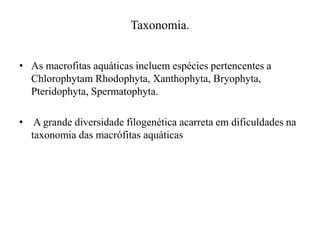 Taxonomia.
• As macrofitas aquáticas incluem espécies pertencentes a
Chlorophytam Rhodophyta, Xanthophyta, Bryophyta,
Pteridophyta, Spermatophyta.
• A grande diversidade filogenética acarreta em dificuldades na
taxonomia das macrófitas aquáticas
 