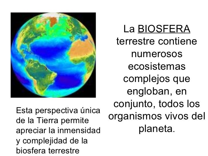 ejemplo de datos biosfera en ecologia