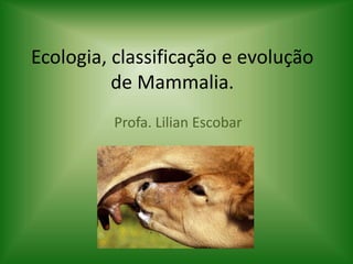 Ecologia, classificação e evolução
de Mammalia.
Profa. Lilian Escobar
 
