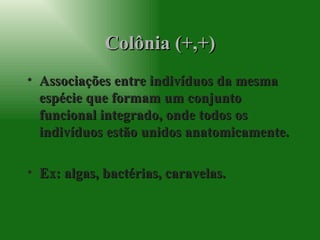 Colônia (+,+) Associações entre indivíduos da mesma espécie que formam um conjunto funcional integrado, onde todos os indivíduos estão unidos anatomicamente. Ex: algas, bactérias, caravelas. 