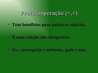 Protocooperação (+,+) Traz benefícios para ambas as espécies. É uma relação não obrigatória. Ex.: caranguejo e anêmona, gado e anu. 